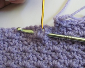 Crochet Wattle Stitch