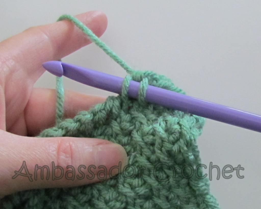 Tunisian Sampler Scarf CAL Finishing Row Ambassador Crochet