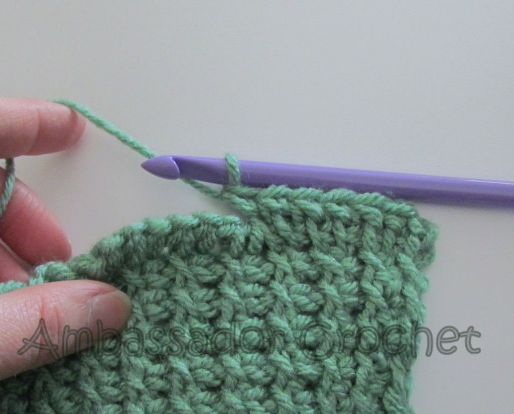 Tunisian Sampler Scarf CAL Finishing Row Ambassador Crochet