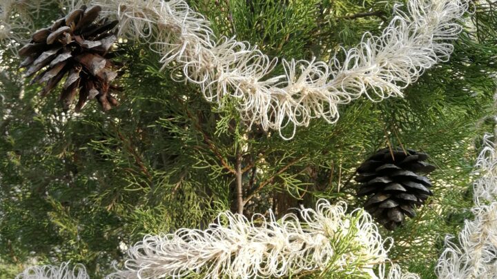 Image for Eco Friendly Christmas Tinsel